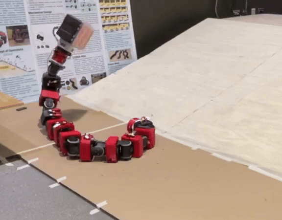 locomanip.gif